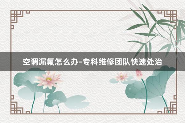空调漏氟怎么办-专科维修团队快速处治